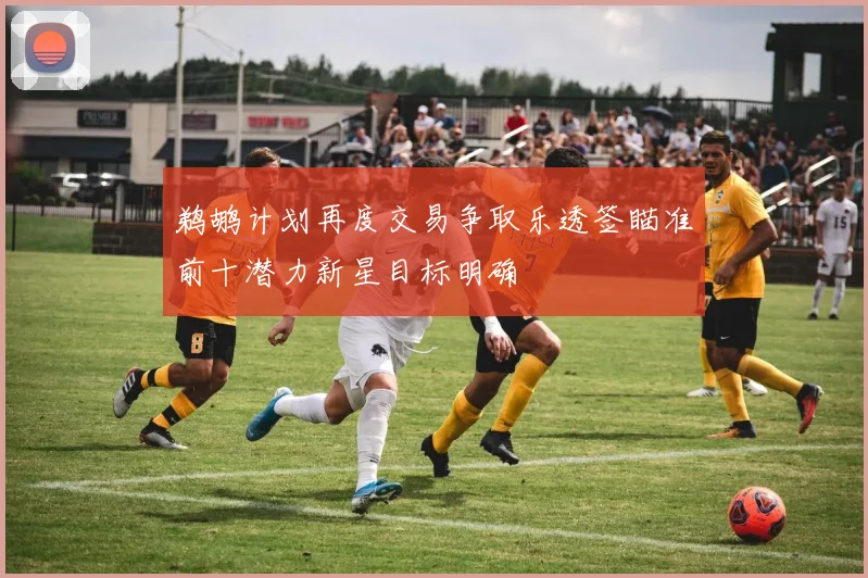 鹈鹕计划再度交易争取乐透签瞄准前十潜力新星目标明确