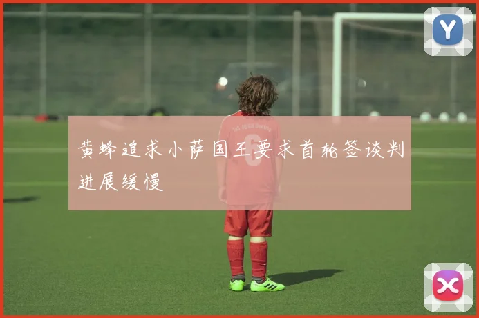 黄蜂追求小萨国王要求首轮签谈判进展缓慢