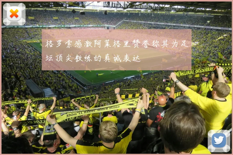 格罗索感激阿莱格里赞誉称其为足坛顶尖教练的真诚表达