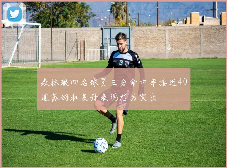 森林狼四名球员三分命中率接近40道苏姆和麦丹表现尤为突出