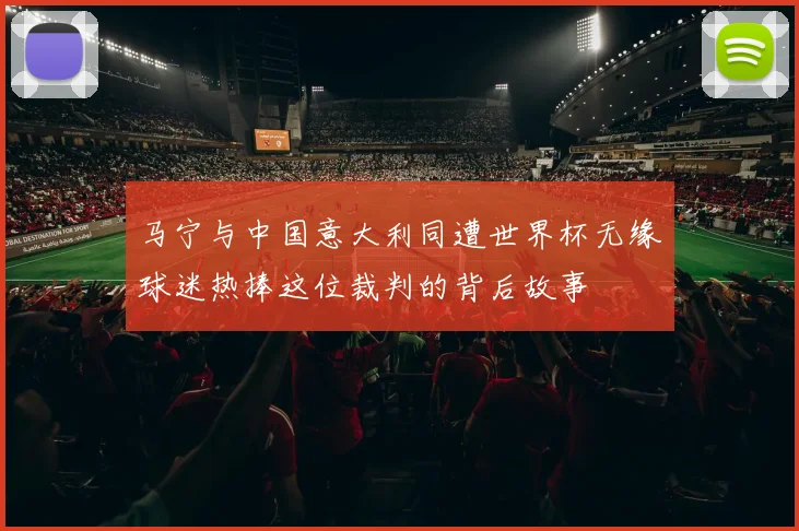 马宁与中国意大利同遭世界杯无缘球迷热捧这位裁判的背后故事