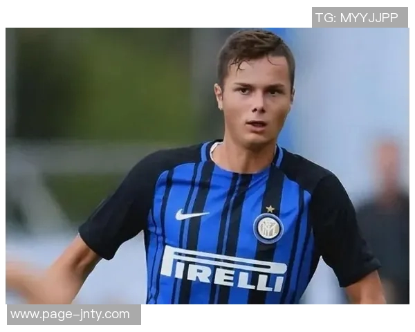 国米旧将范赫斯登因膝盖韧带重伤宣布退役年仅26岁